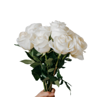 White Roses - 10 Rose Bouquet